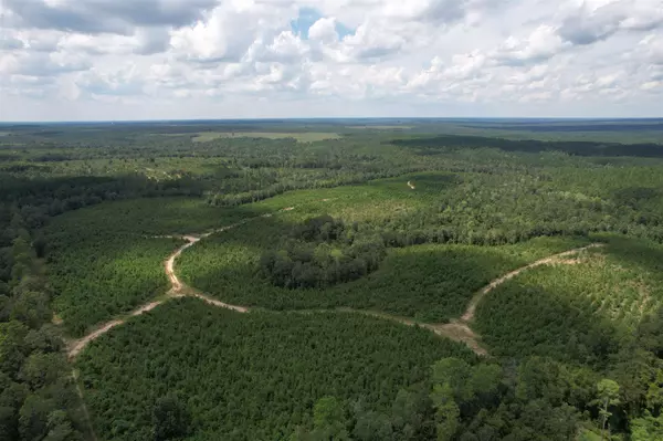 Molino, FL 32577,9000 Hwy 29