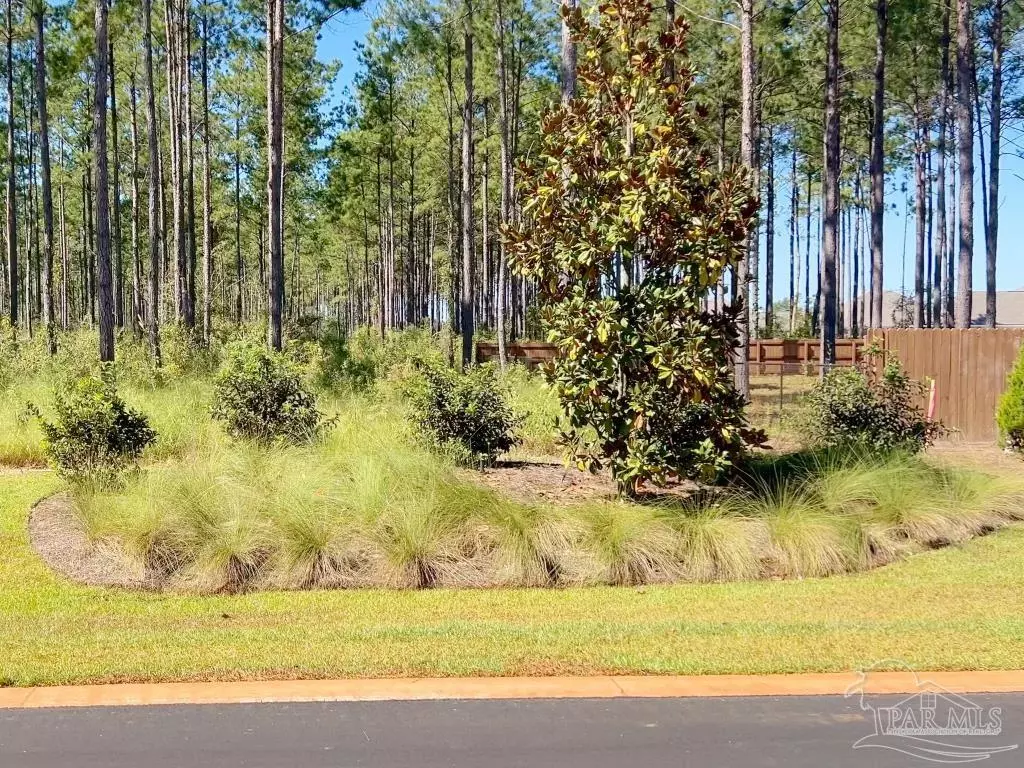 Jay, FL 32565,Lot 1 Denali Rd