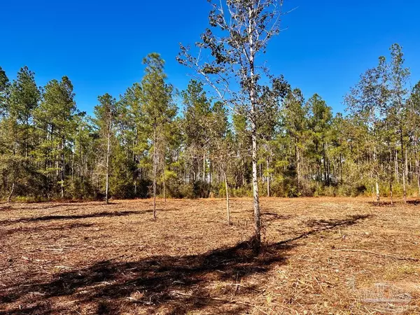 Jay, FL 32565,Lot 2 Denali Rd