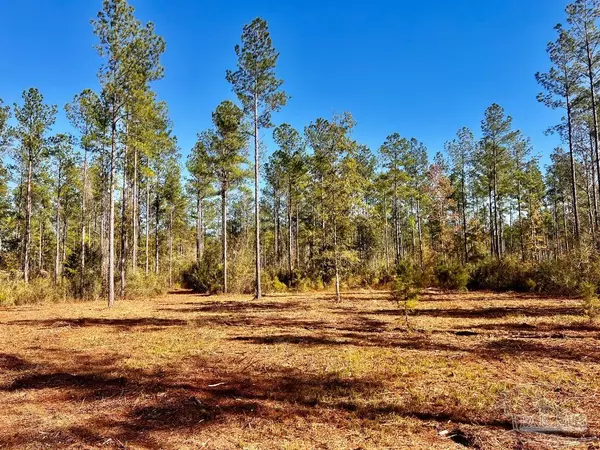 Jay, FL 32565,Lot 4 Denali Rd