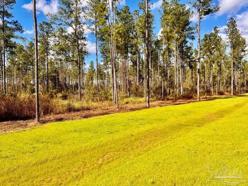 Lot 5 Denali Rd, Jay, FL 32565