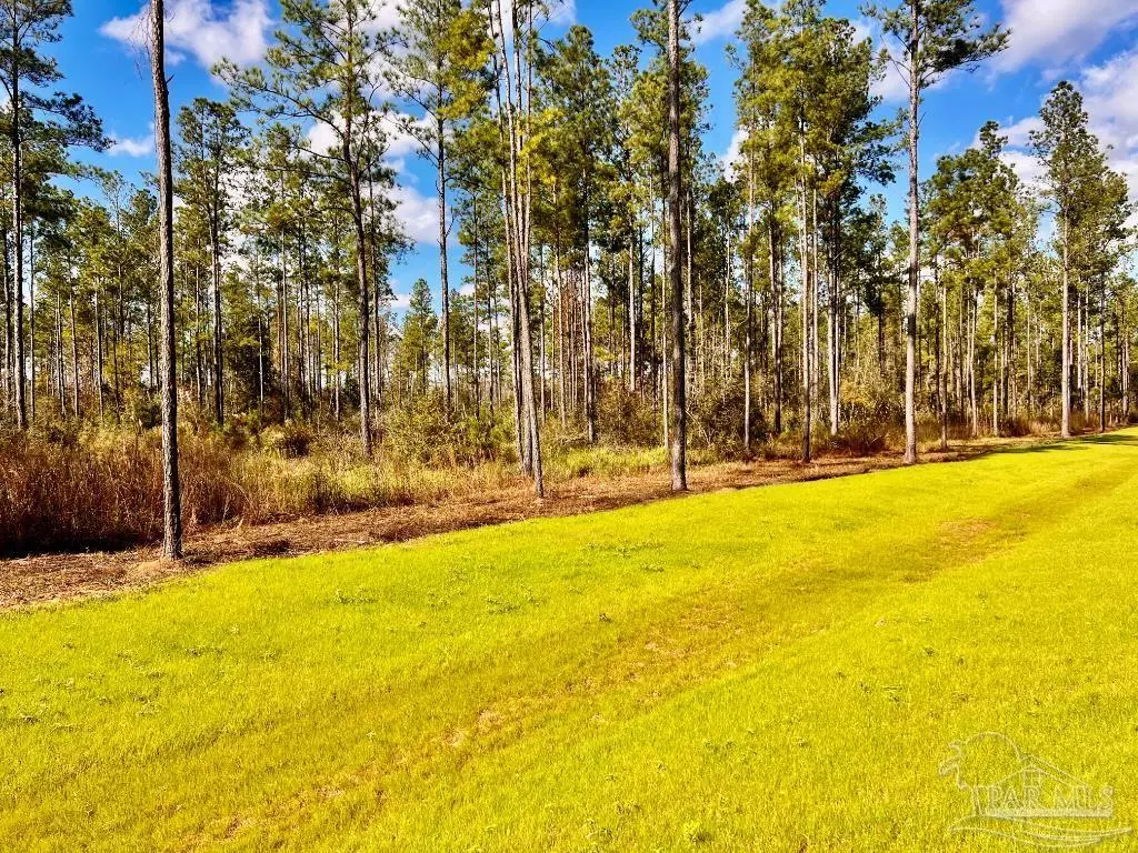 Jay, FL 32565,Lot 5 Denali Rd