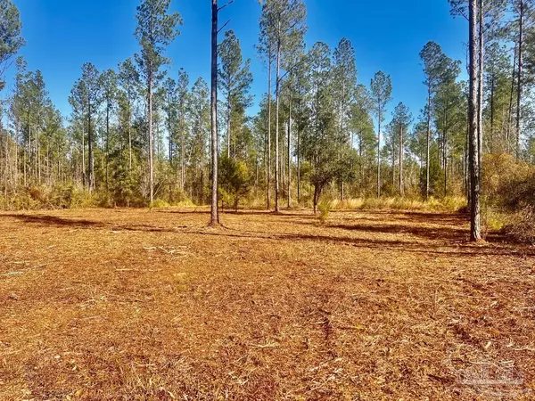 Jay, FL 32565,Lot 5 Denali Rd