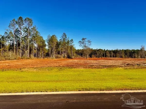 Jay, FL 32565,Lot 11 Denali Rd