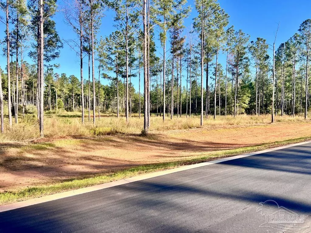 Jay, FL 32565,Lot 14 Denali Rd