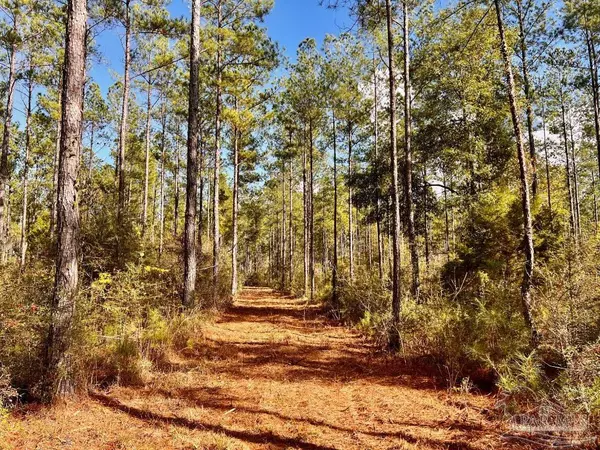 Jay, FL 32565,Lot 15 Denali Rd