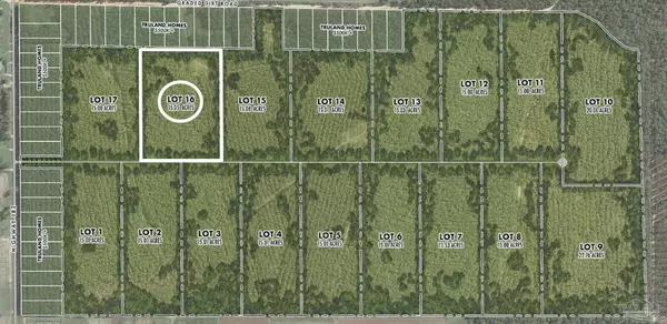 Jay, FL 32565,Lot 16 Denali Rd