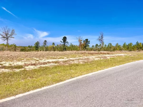 Pace, FL 32571,Lot 19 BR Buffalo Ridge Rd