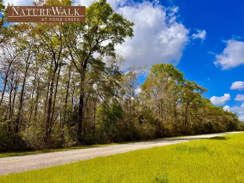 Lot 6 Creekdown Ln, Pace, FL 32571