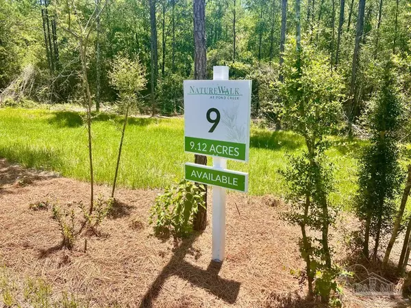 Pace, FL 32571,Lot 9 Creekdown Ln