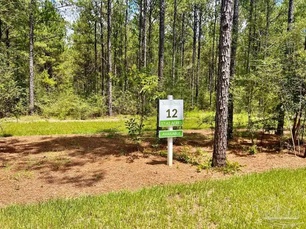 Pace, FL 32571,Lot 12 Naturewalk Dr