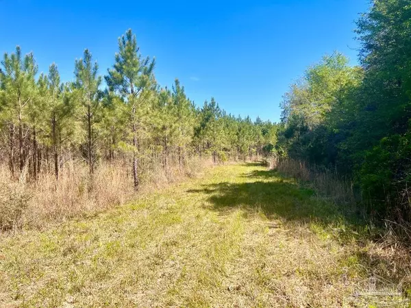 Pace, FL 32571,Lot 16 Naturewalk Dr