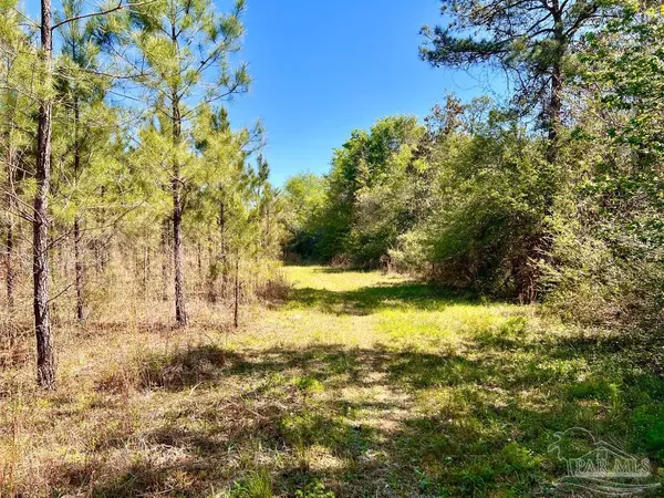 Pace, FL 32571,Lot 16 Naturewalk Dr