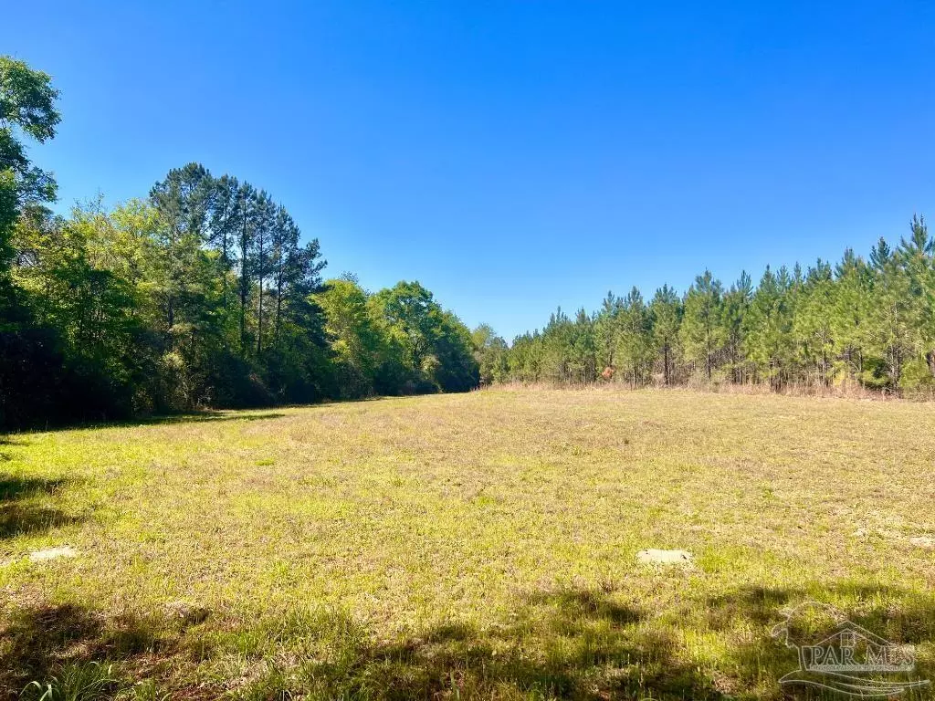 Pace, FL 32571,Lot 16 Naturewalk Dr