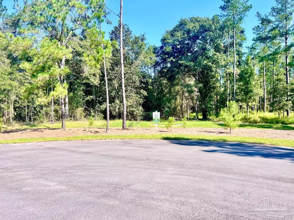 Pace, FL 32571,Lot 17 Pine Preserve Ln