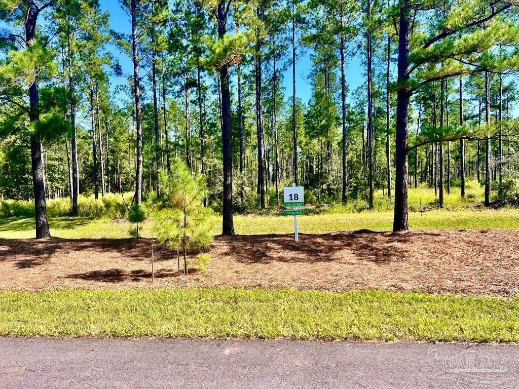 Pace, FL 32571,Lot 18 Pine Preserve Ln