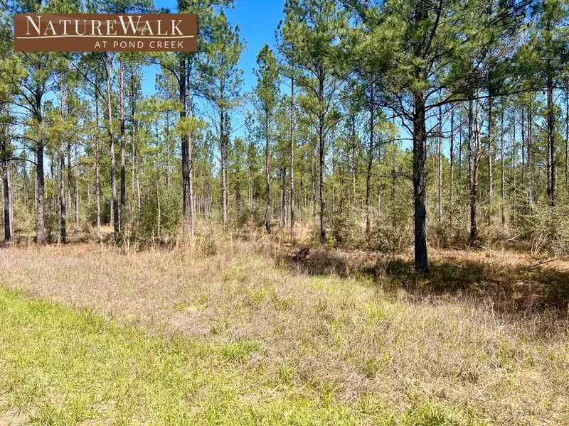 Lot 20 Pine Preserve Ln, Pace, FL 32571