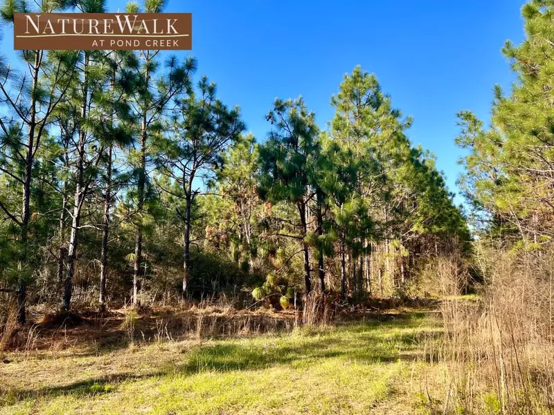 Lot 23 Ashbridge Ln, Pace, FL 32571