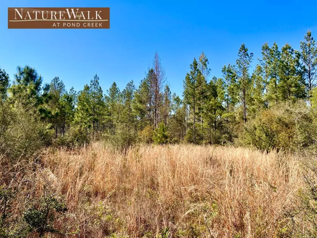 Pace, FL 32571,Lot 29 Nature Walk Rd