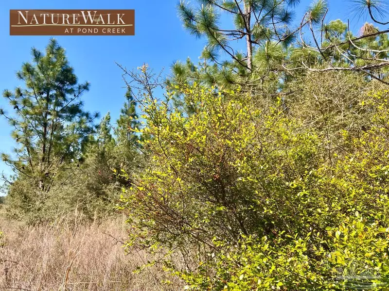 Lot 31 Pine Preserve Ln, Pace, FL 32571