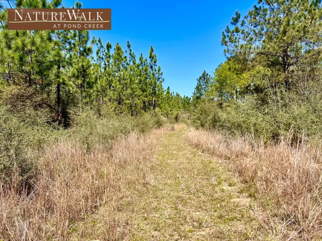 Pace, FL 32571,Lot 33 Pine Preserve Ln