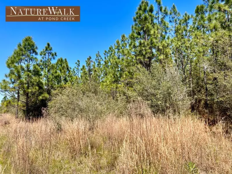 Lot 34 Pine Preserve Ln, Pace, FL 32571