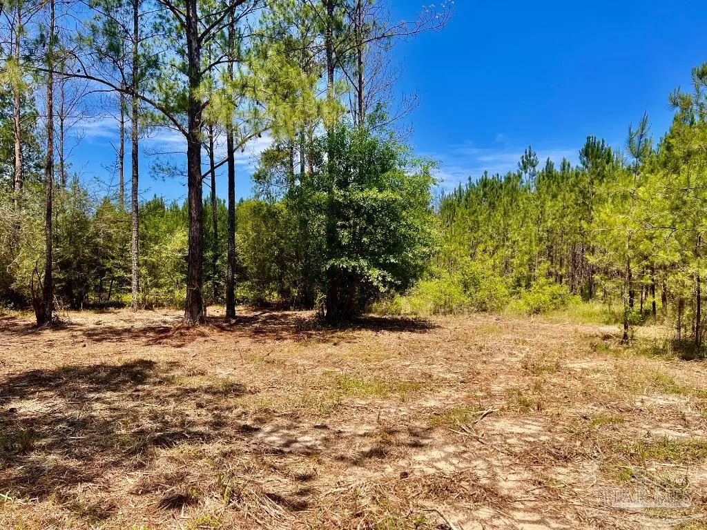 Pace, FL 32571,Lot 89 Pine Preserve Ln