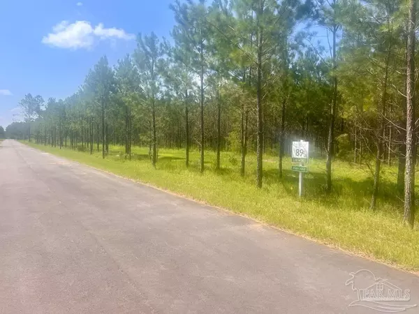 Pace, FL 32571,Lot 89 Pine Preserve Ln