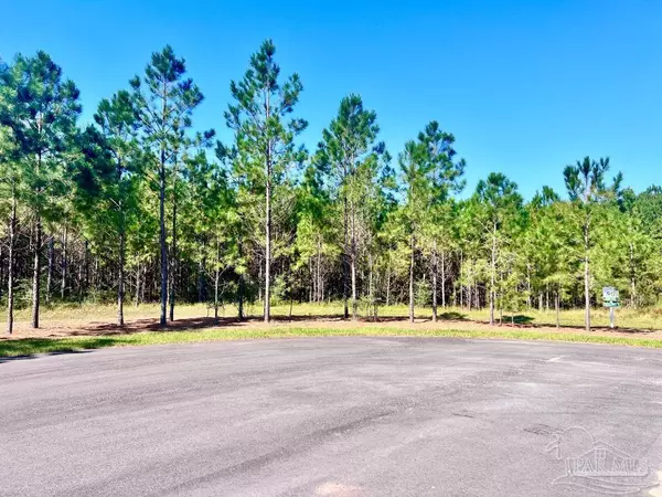 Pace, FL 32571,Lot 90 Pine Preserve Ln