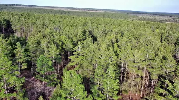 Harold, FL 32583,Cooper Rd