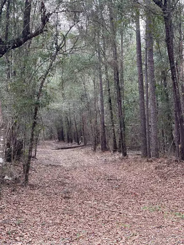 Jay, FL 32565,Lot 8 Walling Rd