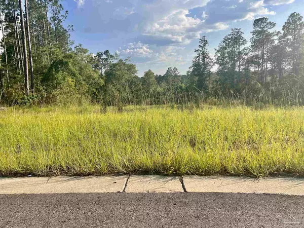 Pace, FL 32571,Lot 23 BS Buffalo Ridge Rd