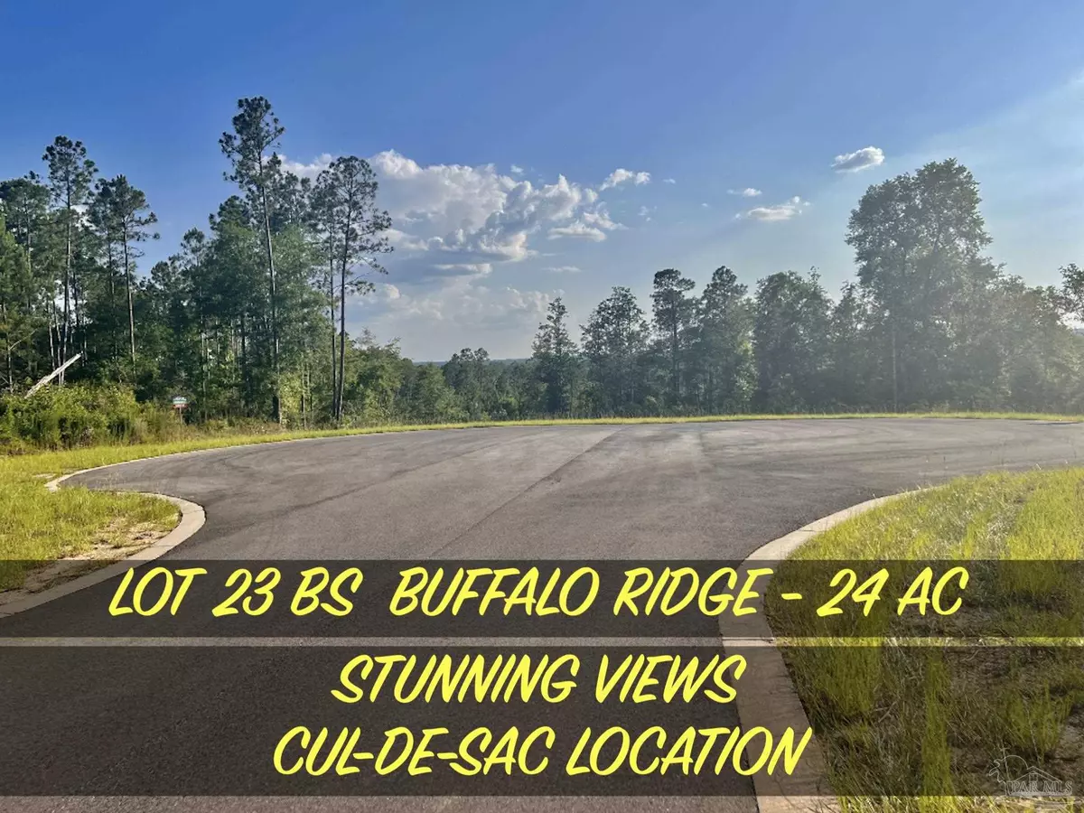 Pace, FL 32571,Lot 23 BS Buffalo Ridge Rd