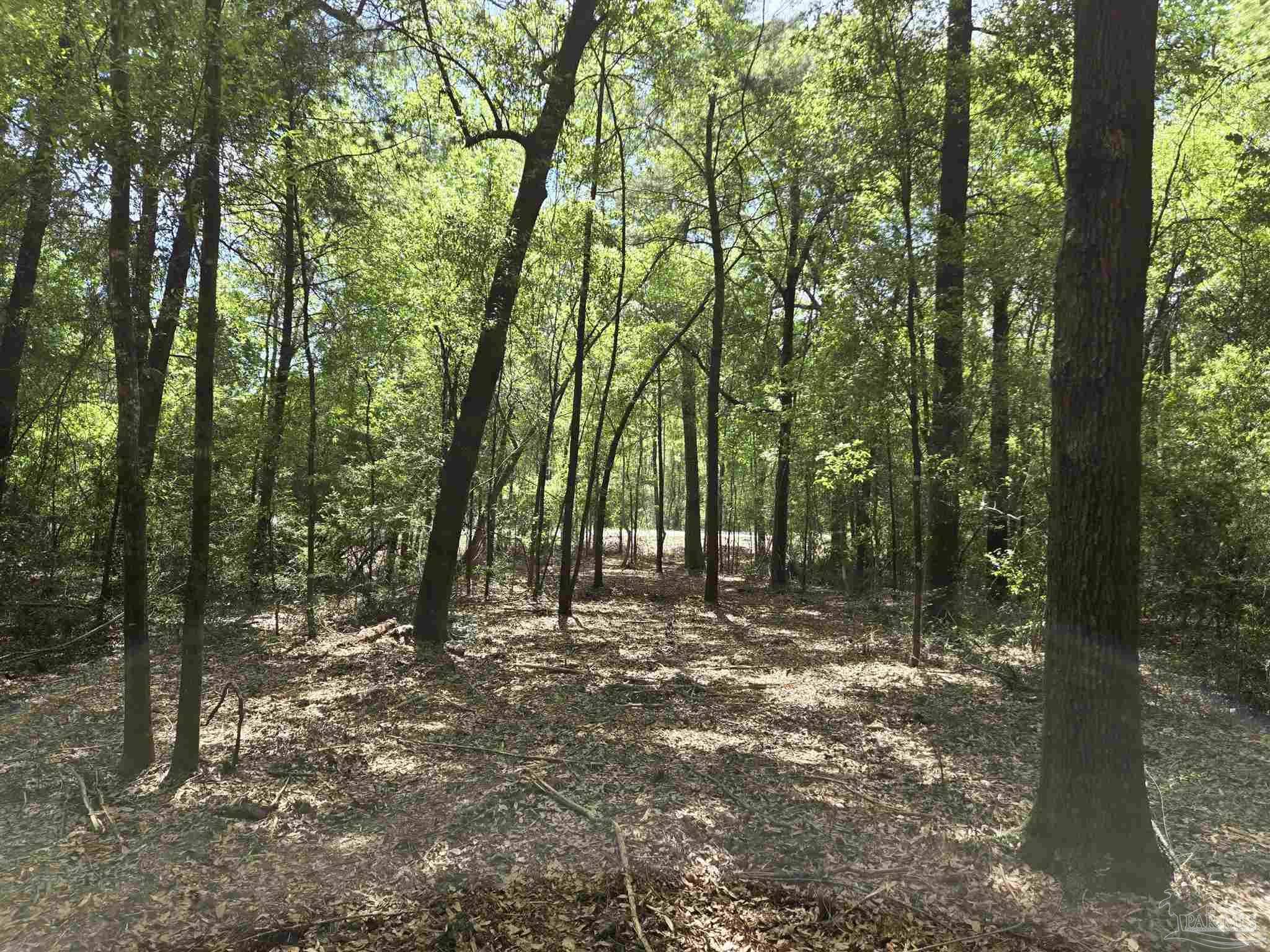 Flomaton, AL 36441,1131 Wolf Log Rd