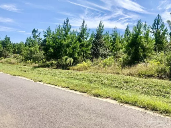 Pace, FL 32571,Lot 20 MBN Teton Crest Dr