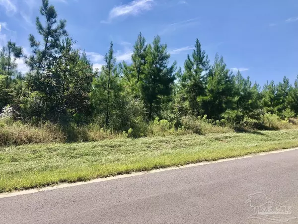 Pace, FL 32571,Lot 20 MBN Teton Crest Dr