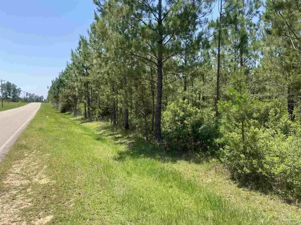 Perdido, AL 36562,23799 Lonnie Hadley Rd