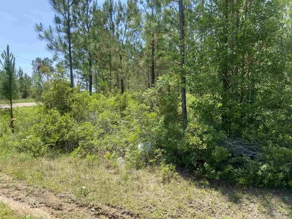 Perdido, AL 36562,Lot 2- 23799 Lonnie Hadley Rd