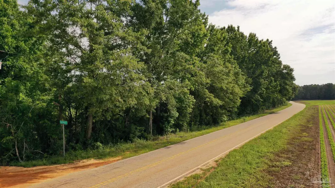 Lot 6 Travis Rd, Brewton, AL 36426