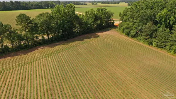 East Brewton, AL 36426,Lot 7 Travis Rd