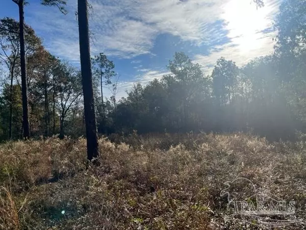 Milton, FL 32583,0 American Farms Rd