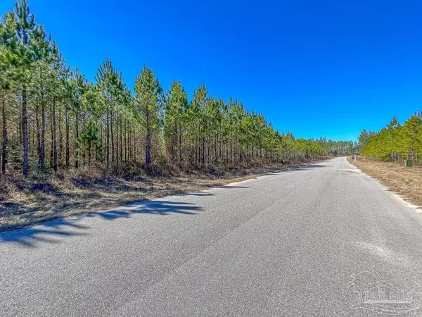 Pace, FL 32571,LOT 57 Sage Forest Ln