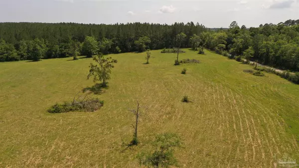 Lot 3 River Annex Rd, Cantonment, FL 32533