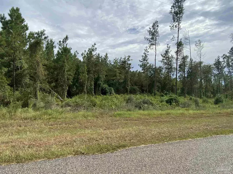 Lot 4- 23799 Lonnie Hadley Rd, Perdido, AL 36562