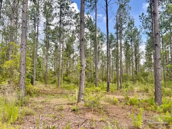 Pace, FL 32571,Lot 81 Nature Walk Rd