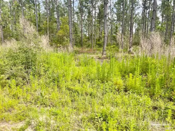 Pace, FL 32571,Lot 81 Nature Walk Rd