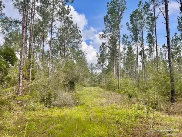 Pace, FL 32571,Lot 83 Maple Branch Ln