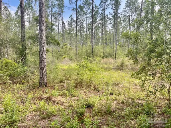 Pace, FL 32571,Lot 83 Maple Branch Ln