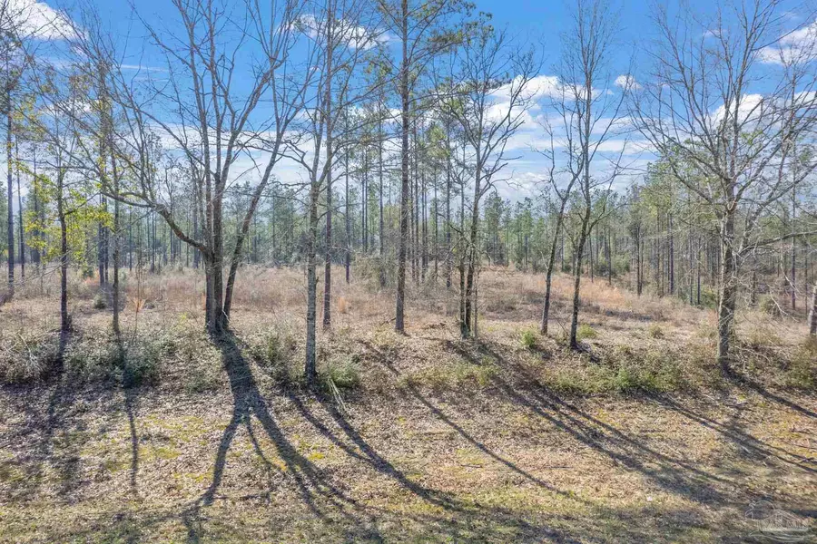 Lot 3 Hwy 178, Jay, FL 32565