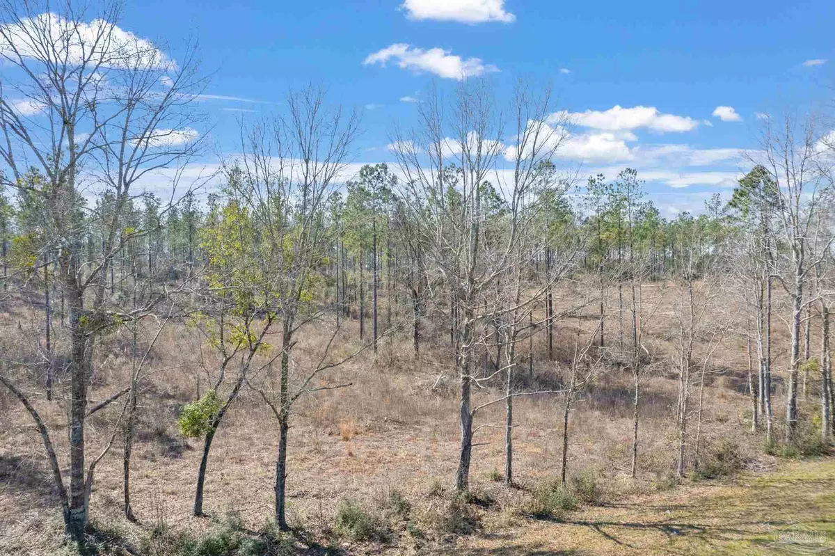 Jay, FL 32565,Lot 4 Hwy 178